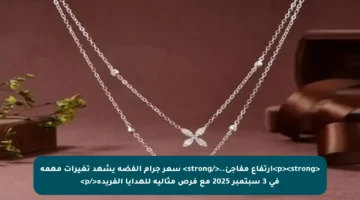 <p><strong>ارتفاع مفاجئ..</strong> سعر جرام الفضة يشهد تغيرات مهمة في 3 سبتمبر 2025 مع فرص مثالية للهدايا الفريدة</p>